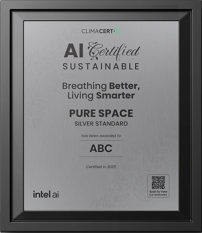 Silver Certificate Frame