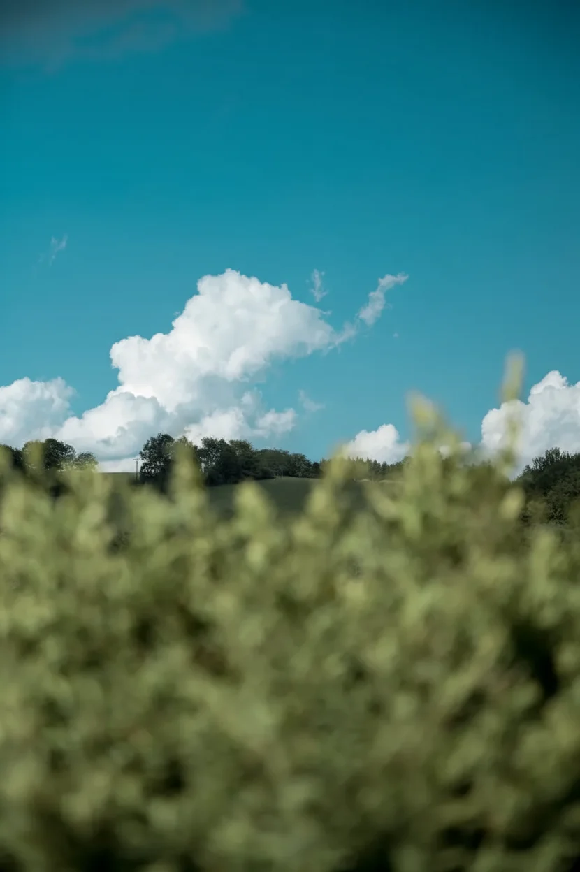 Supports ESG and Wellness Reporting